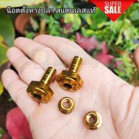 น็อตตั้งหางปลา สแตนเลสแท้ สีทอง (ตรงรุ่น เวฟ/ดรีม ทุกรุ่น โซนิค เทน่า โนวา LS แดช Msx) สินค้าพร้อมจัดส่ง