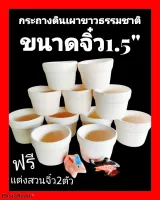 กระถางจิ๋ว1.5"ขาวธรรมชาติยกโหล12ใบ/แถมฟรีตุ๊กตาจัดสวนถาด2ชิ้น