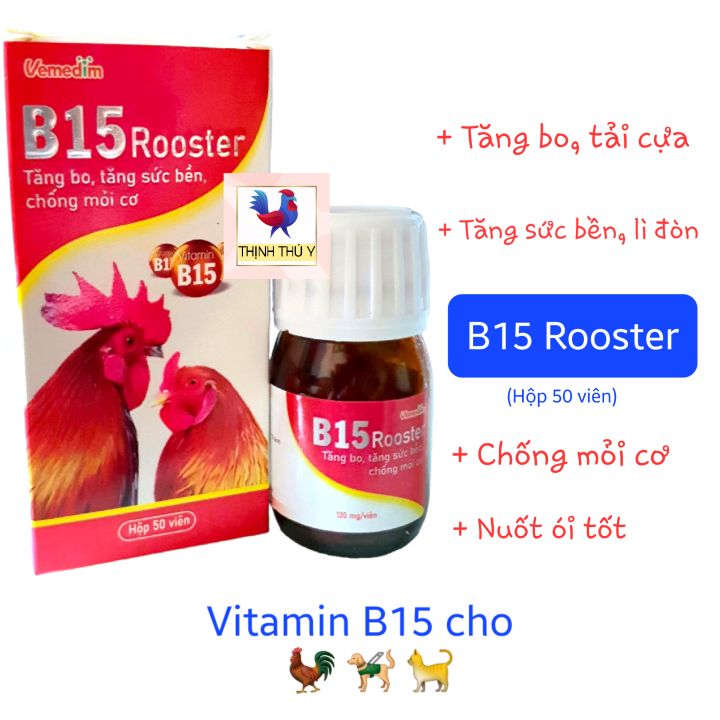 B15 Rooster (Hộp 50 Viên) - Vitamin B15 Cao Cấp Cho Gà đá, Chó Mèo ...