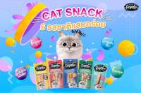 Regalos cat snack 5 รสชาติแสนอร่อย!! สำหรับแมวๆ