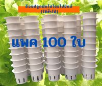 ถ้วยปลูกผักไฮโดรโปนิกส์ สีขาว 100 ใบ