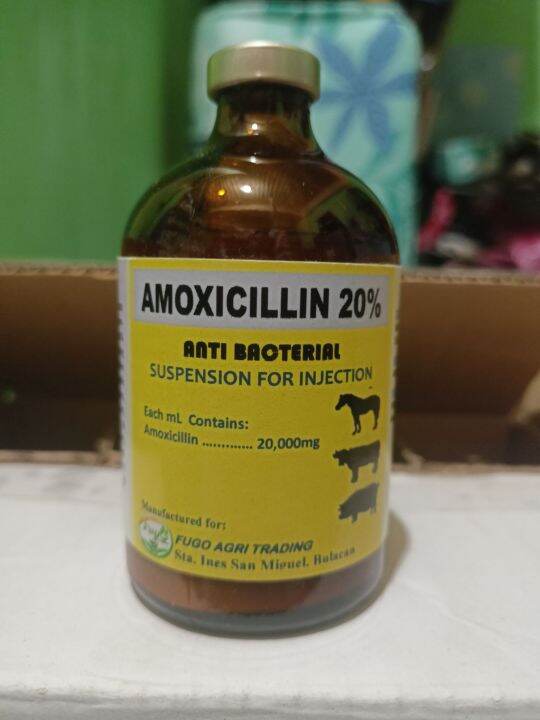 ANTIBACTERIAL AMOXICILLIN 20% 100ML | Lazada PH