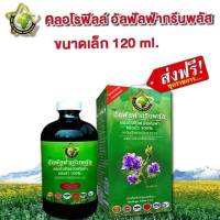 คลอโรฟิลล์บริสุทธิ์ 100% เข้มข้นกว่าเดิม 3 เท่า ขนาดขวดเล็ก 120 ml