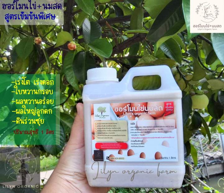 ฮอร์โมนไข่นมสดสูตรเข้มข้นพิเศษ-lilyns-organic-farm-1-ลิตร-กระตุ้นการออกดอกออกผล-แก้ปัญหาดินเสียต้นโทรม