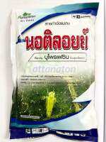 บูโพรเฟซิน 200กรัม ชนิดผงละเอียด ป้องกันกำจัดเพลี้ยกระโดดสีน้ำตาลช่วยคุมไข่แมลงลดการวางไข่ของเพลี้ยอ่อน เพลี้ยแป้ง ไข่หนอน แมลงหวีขาวและแมลงปากดูด