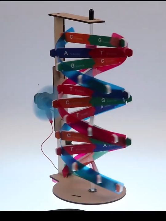 Hướng dẫn cách gấp DNA bằng giấy l How to make a paper DNA l nghệ thuật  origami DNA mobile  YouTube