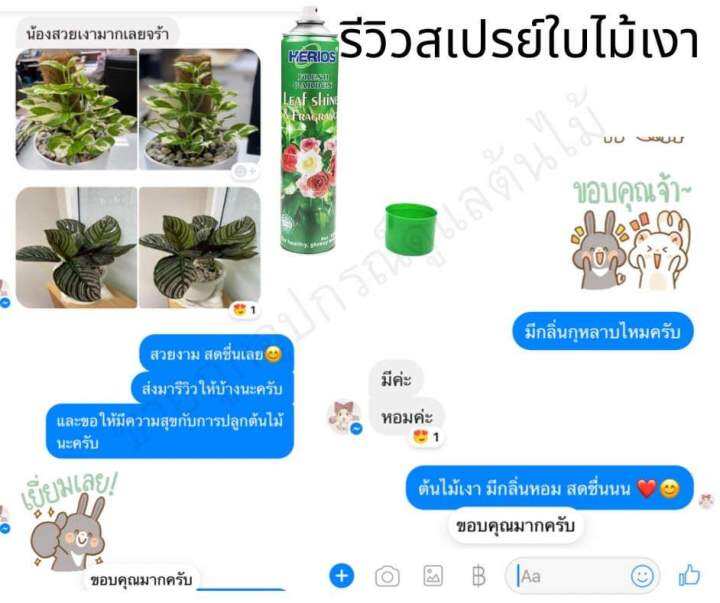 สเปรย์เคลือบใบไม้เงา-กลิ่นกุหลาบ-ขนาด-650-ml