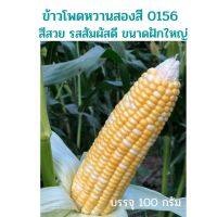 [100 g] ข้าวโพดหวานสองสี Dr.Pek