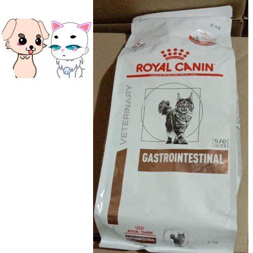 ROYAL CANIN GASTROINTESTINAL CAT FOOD 2KG Lazada PH royal-canin-gastrointestinal-cat-food-2kg-lazada-ph