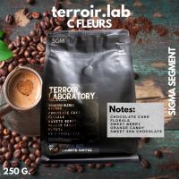 เมล็ดกาแฟ C FLEURS (250g.) — TERROIR LABORATORY