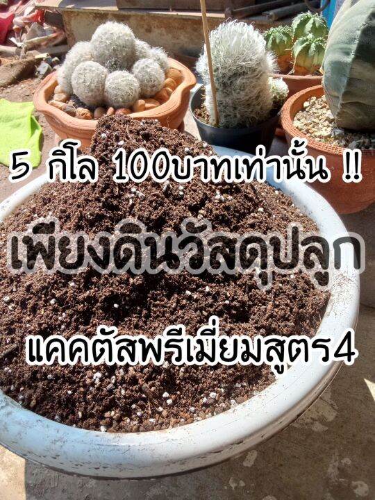 ถุงละ5กิโล100บาท-สูตร-4-ดินปลูกแคคตัส-ดินปลูกกระบองเพชร-ถูกกว่าผสมเอง-แกะใช้งานได้เลย-ปลูกไม้ด่างไม่กลายเขียว-ปลูก-กระบองเพชรกินได้-ฮาโวเทีย-ยิมโน-ไม้อวบน้ำ-โอพันเทีย-แมมมิลลาเรีย-ถังทอง-แมมนกฮูก-แมมล