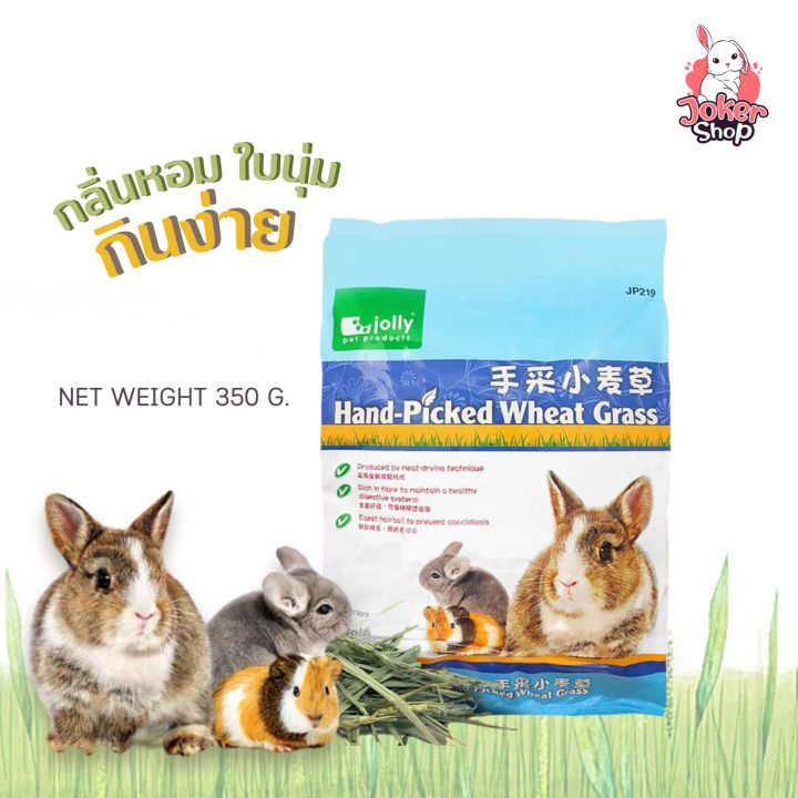 lot-ใหม่ล่าสุดค่ะ-หญ้าวีทกราส-wheat-grass-สำหรับกระต่าย-แก๊สบี้-ชินชิล่า-350-เขียว-ใหม่