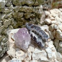 อเมทิสต์ | Amethyst Cluster ? / Agate Geode #2
#cluster? โพรงอาเกต #druzy หินธรรมชาติ