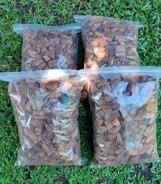 Coco Cubes need for fern,orchids & other Plant. Lazada PH