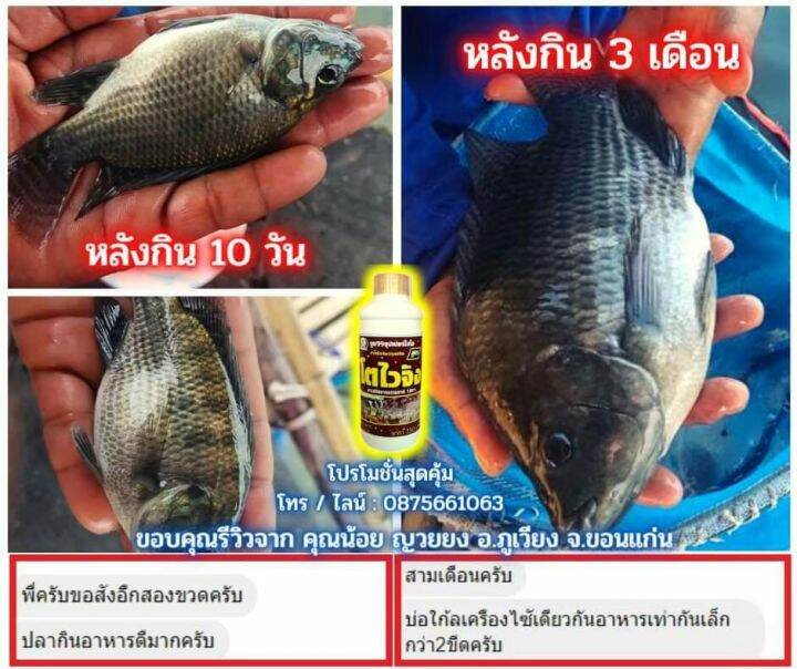 โตไวจัง-ไคโตซานเร่งเติบโตสำหรับสัตว์-โปรโมชั่นยกลัง