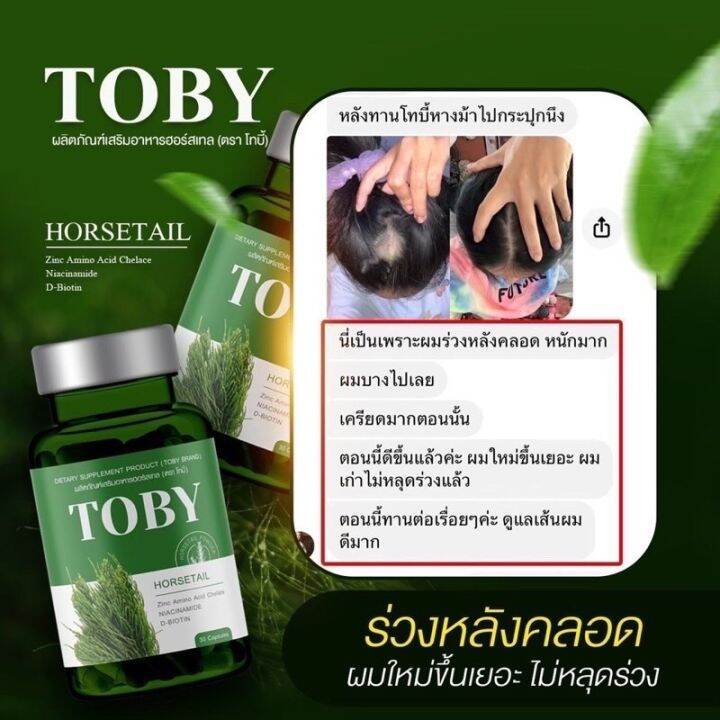 พร้อมส่ง-โทบี้หางม้า-toby-horsetail-โทบี้ฮอร์สเทล-โทบี้หญ้าหางม้า-ลดผมร่วง-ผมสี-ผมงอกใหม่-ลดรังแค-บำรุงรากผมให้แข็งแรง