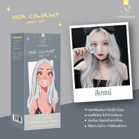 ( สีเกรย์ )Vanekaa ครีมเปลี่ยนสีผม Vanekaa Hair Colorant 100 ml.