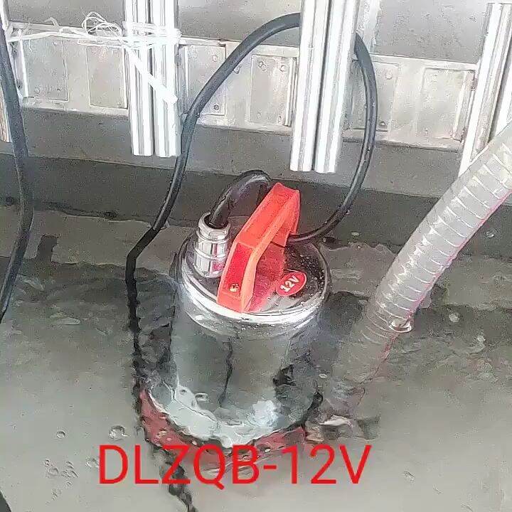 【Manila Stock】Submersible Pump 12V DC 300W Water Submersible Water