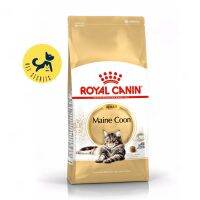 Royal Canin Mainecoon 31 สำหรับ แมวโต สายพันธุ์แมนคูน ขนาด10kg