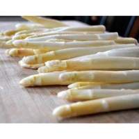 เมล็ดพันธุ์ หน่อไม้ฝรั่ง สีขาว (White Asparagus) บรรจุ 10 เมล็ด นำเข้า ของแท้ 100%