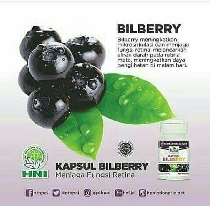 KAPSUL BILBERRY HNI HPAI Untuk Kesehatan Mata Lazada Indonesia