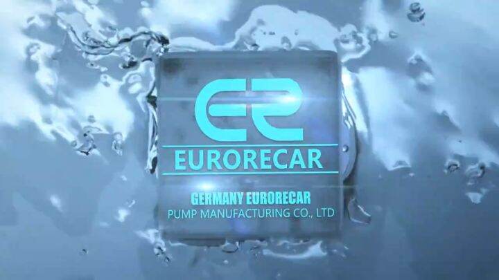 EURORECAR Submersible Water Pump 220V 3'' 1.5HP Deep Well Water Pump ...