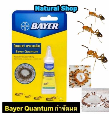 ไบเออร์ ควอนตั้ม Bayer Quantum เหยื่อกำจัดมด 12 กรัม