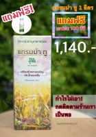 ? แถมฟรี เอฟอช 100ซีซี? รวมของแถมแล้วถูกกว่าร้านอื่นแน่นอน แกรมม่าทู 1 ลิตร แถม เอฟอช 100 ซีซี