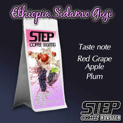 Ethiopia Sidamo Guji G2 Natural คั่วอ่อน Light Roast กาแฟคั่วอ่อน filter กาแฟดริป 100g