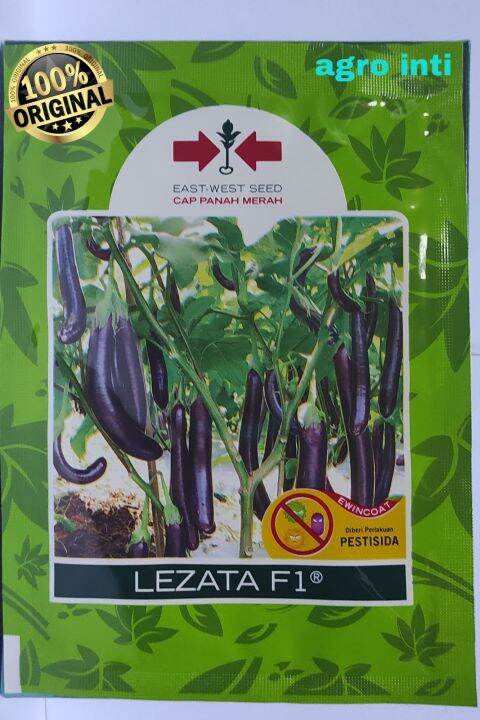 benih bibit terong hibrida lezata f1 1100 butir dari panah merahpanah