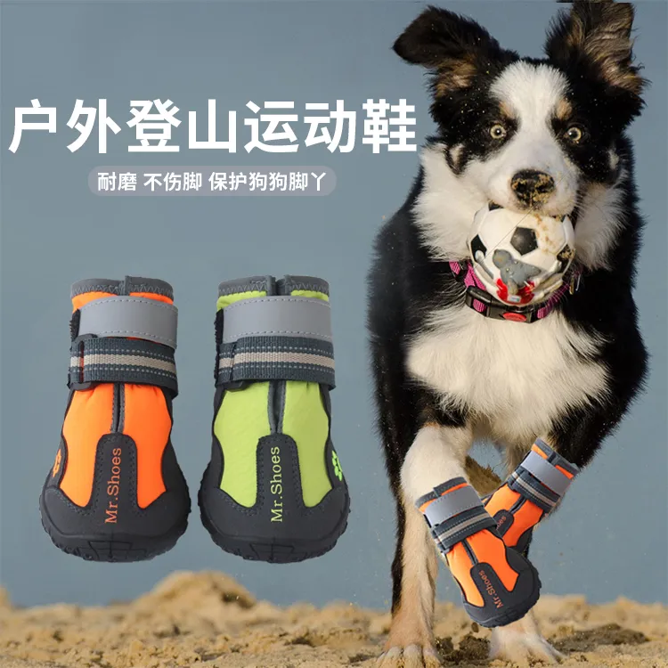 Mr shoes dog on sale boots