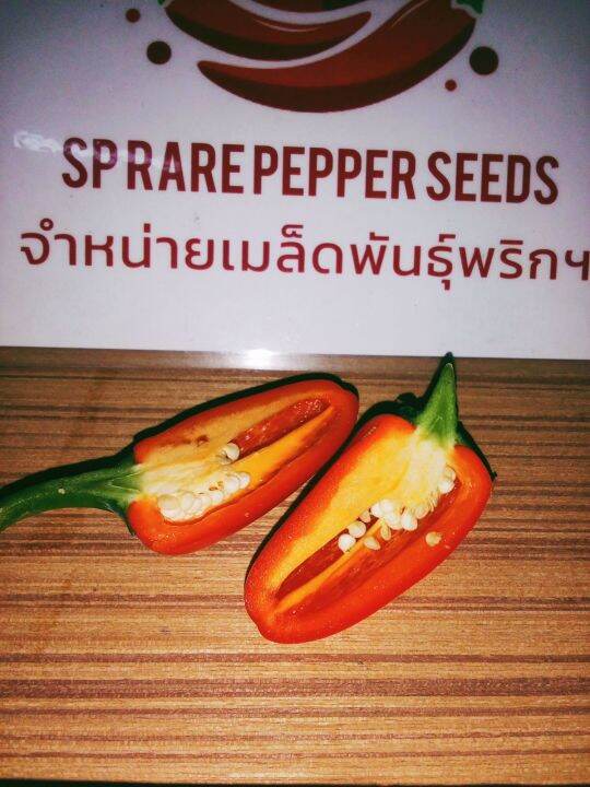 พริกเม็กซิกัน-jalapeno-แท้