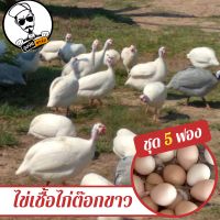 ไข่เชื้อไก่ต๊อกขาว ชุด 5 ฟอง