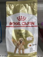 Royal Canin ADULT Poodle อายุ 10 เดือนขึ้นไป