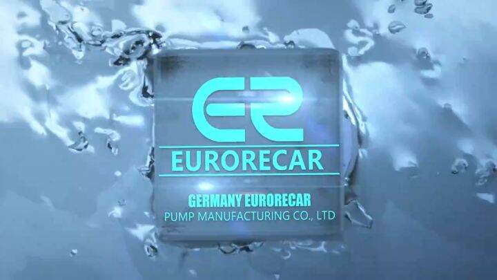 EURORECAR 220V 60Hz Stainless Steel Booster Pump Automatic Household ...