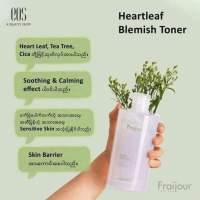 Fraijour heartleaf calming toner