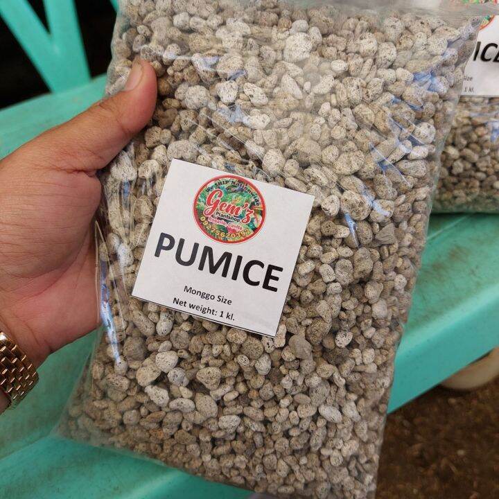 pumice stone for plants.. Lazada PH
