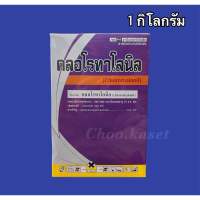 คลอโรทาโลนิล (รักษาโรคสนิม ราน้ำค้าง ใบจุด) 1 กิโลกรัม