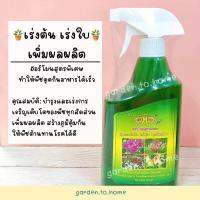 พร้อมส่ง??สเปรย์หัวฉีดสำเร็จ (สีเขียว) สูตรเร่งโต เร่งการเจริญ  พร้อมใช้งาน ตราโอ้โฮ OHO ปริมาตร 750cc