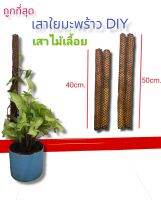 เสาไม้เลื้อยเสาใยมะพร้าว DIY ตาข่าย4เหลี่ยม