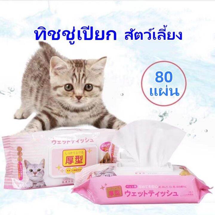 ทิชชู่สัตว์เลี้ยง-ทิชชู่เปียกสัตว์เลี้ยง-pet-wipes-สำหรับเช็ดสัตว์เลี้ยง-ทิชชู่เปียกเช็ดทำความสะอาด-จำนวน-80-แผ่น