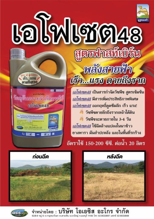 ไกลโฟเสท-สูตรฟาสเบริน์-ตราอูฐทองคำ-ขนาด-4-ลิตร