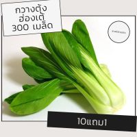 เมล็ดผักกวางตุ้งฮ่องเต้ เมล็ดพันธุ์ผัก เมล็ดผัก 10แถม1 คละได้