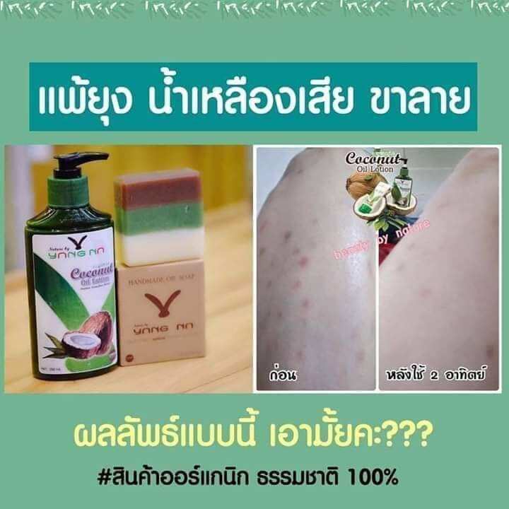 โลชั่นน้ำมันมะพร้าวสกัดเย็น-โลชั่นยางนา-1ขวด-250-ml