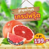 grapefruit เกรปฟรุ๊ต ?(เช็ทละ 4 ลูก / 10 ลูก)