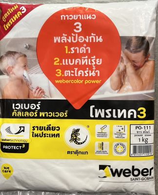 Weber กาวยาแนว เวเบอร์ คัลเลอร์ พาวเวอร์ PO-111 ขาว สโนว์ (กันเชื้อรา)