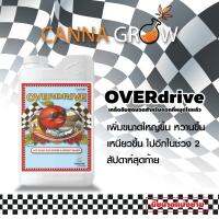 Advanced nutrient Overdrive ปุ๋ยเร่งดอกใหญ่ เพิ่มผลผลิต ในช่วงสัปดาห์สุดท้าย ขนาด 50ml 100ml