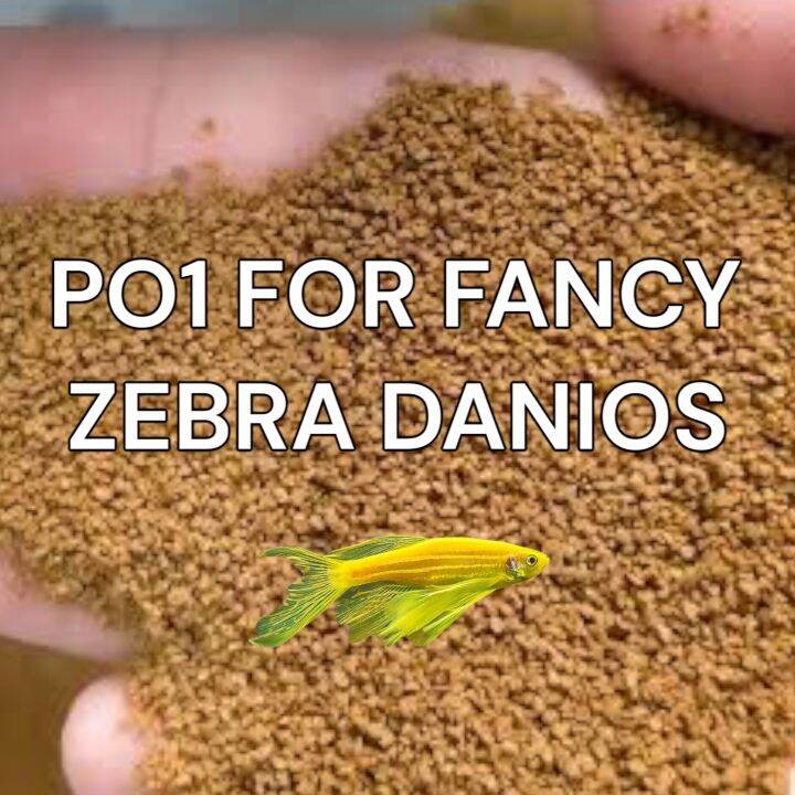 TATEH AQUAFEEDS FOR ZEBRA DANIOS (ALWAYS CHECK DESCRIPTION) Lazada PH