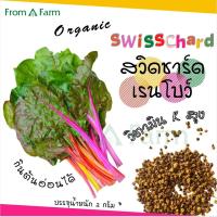 From a Farm | ฟอร์มอะฟาร์ม สวิสชาร์ด เรนโบว์ swisschard mixed color 2 g. เมล็ดผัก ไมโครกรีน microgreen