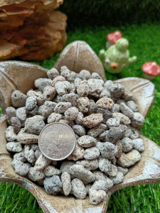 Pumice Stone ( Corn Size ) Lazada PH